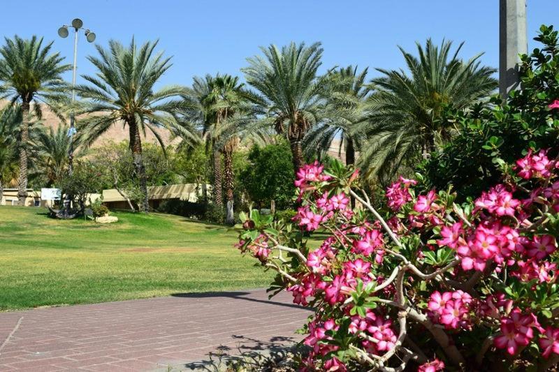 כפר נופש קלי"ה ים המלח Hotel Kalia Ngoại thất bức ảnh