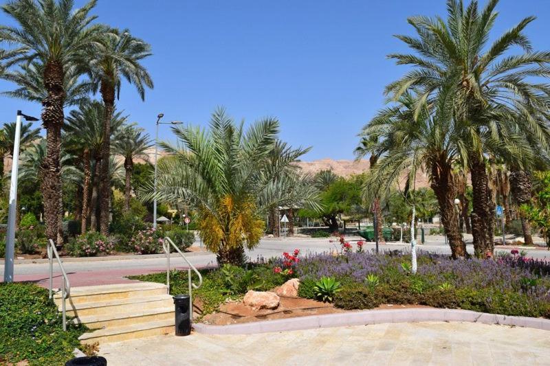 כפר נופש קלי"ה ים המלח Hotel Kalia Ngoại thất bức ảnh
